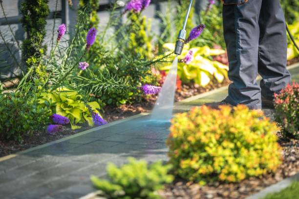 Best Dumpster Area Cleaning  in Locust Grove, GA